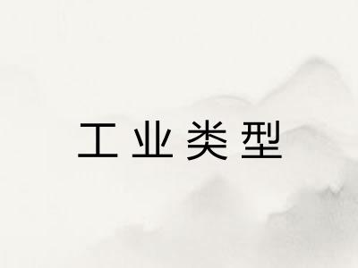 工业类型