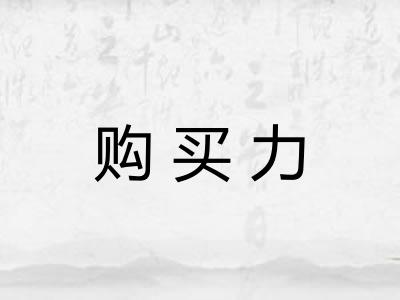购买力
