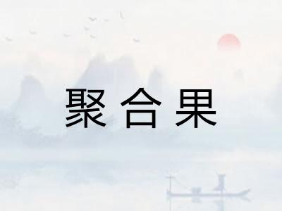 聚合果
