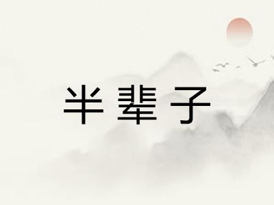 半辈子