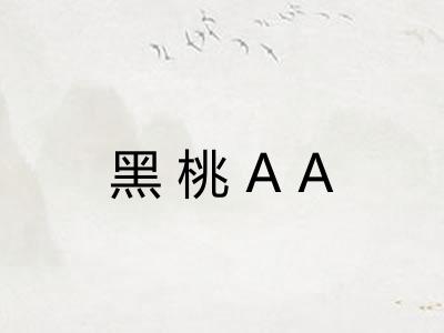 黑桃AA