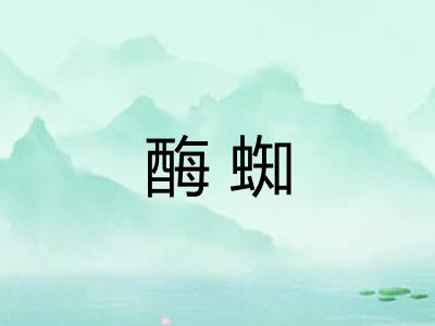 酶蜘