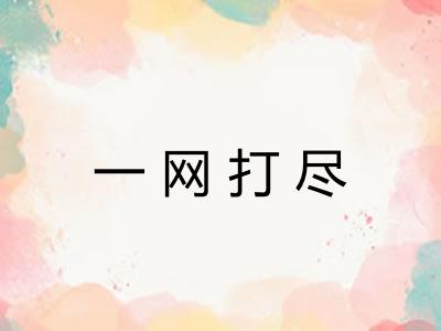 一网打尽