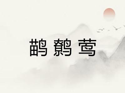 鹋鹩莺