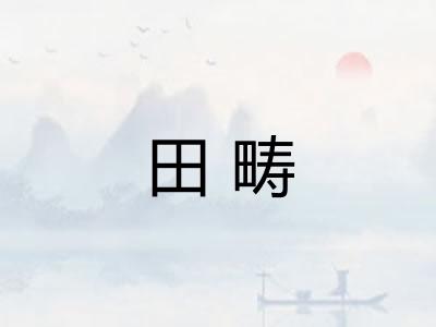 田畴