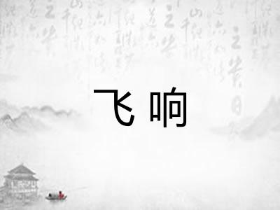 飞响