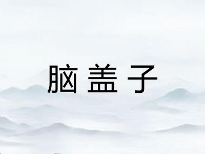 脑盖子