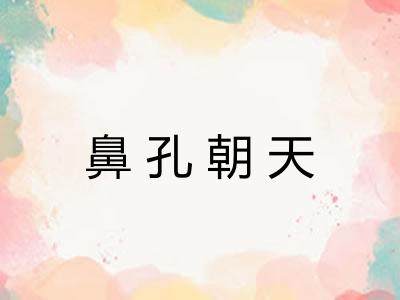 鼻孔朝天