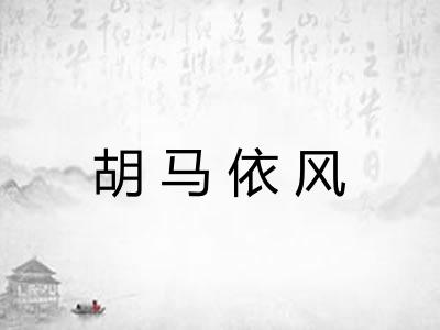 胡马依风