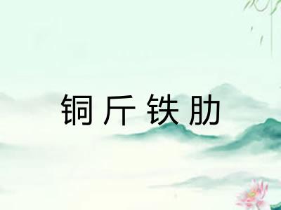 铜斤铁肋