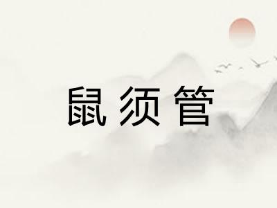 鼠须管
