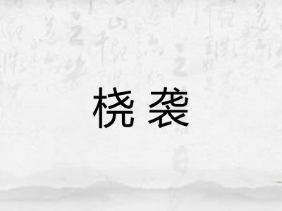 桡袭