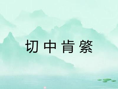 切中肯綮