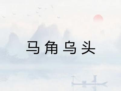 马角乌头