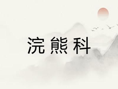 浣熊科