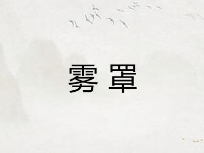雾罩