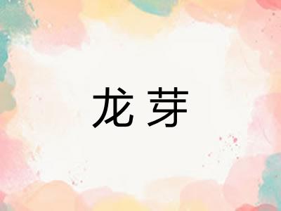 龙芽