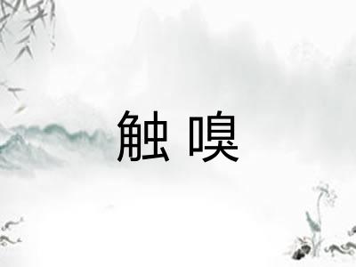 触嗅