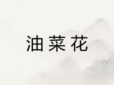 油菜花