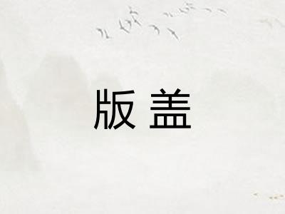 版盖