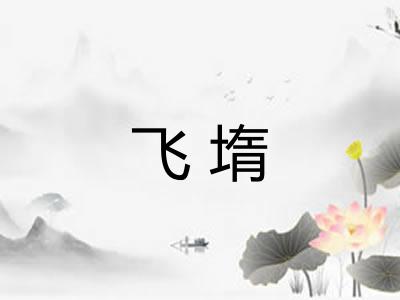 飞堶