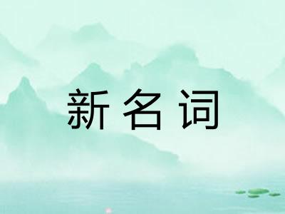 新名词