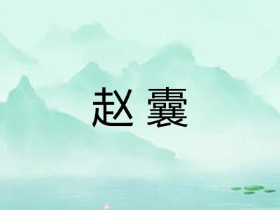 赵囊 赵囊