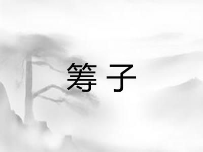 筹子