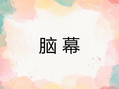 脑幕