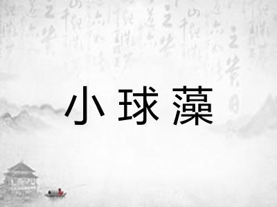 小球藻 小球藻