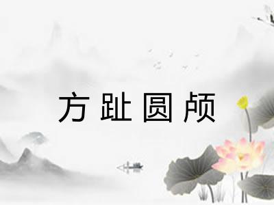 方趾圆颅