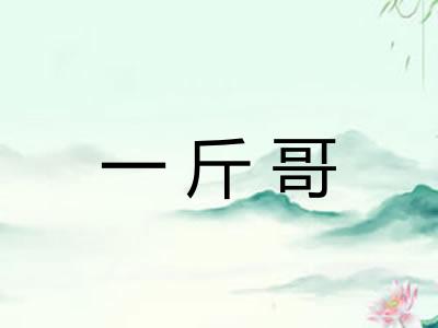 一斤哥