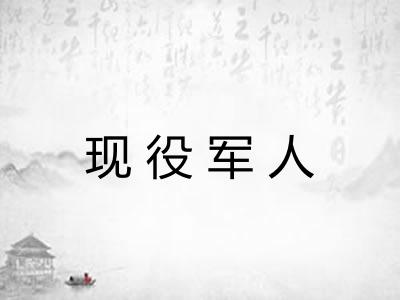 现役军人