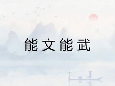 能文能武 能文能武