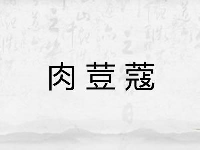 肉荳蔻
