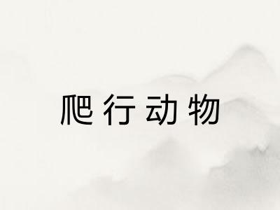 爬行动物