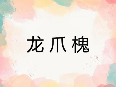 龙爪槐