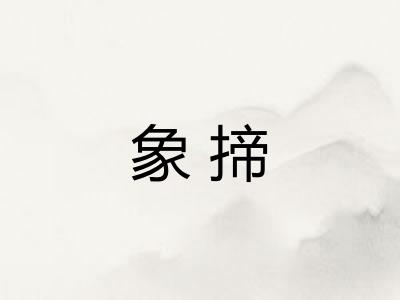 象揥