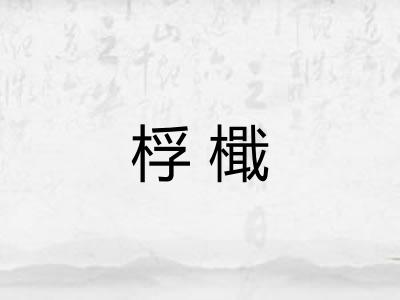 桴檝