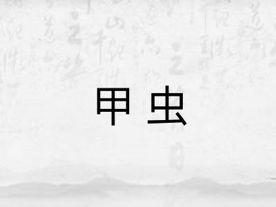 甲虫