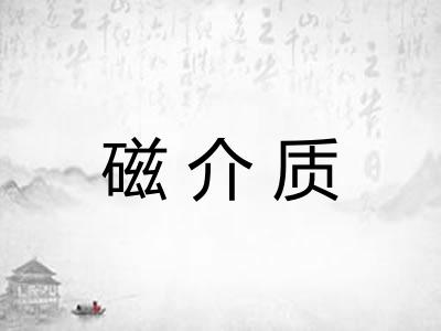 磁介质