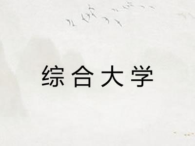 综合大学