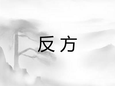 反方