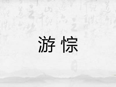 游悰