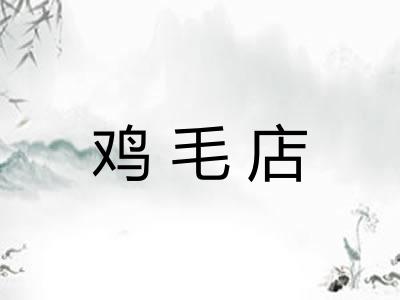 鸡毛店