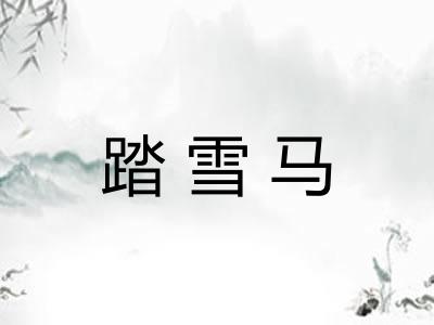 踏雪马