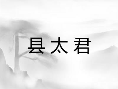 县太君