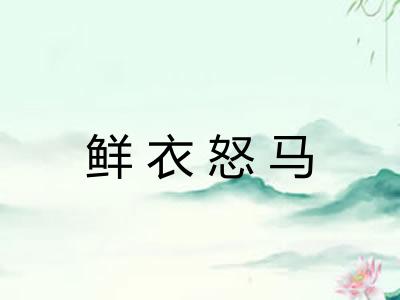 鲜衣怒马