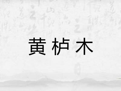黄栌木