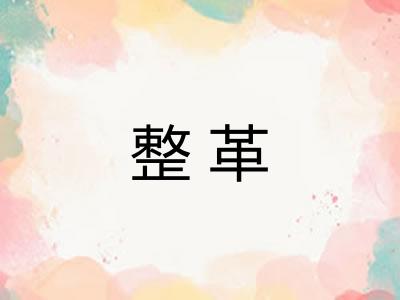 整革